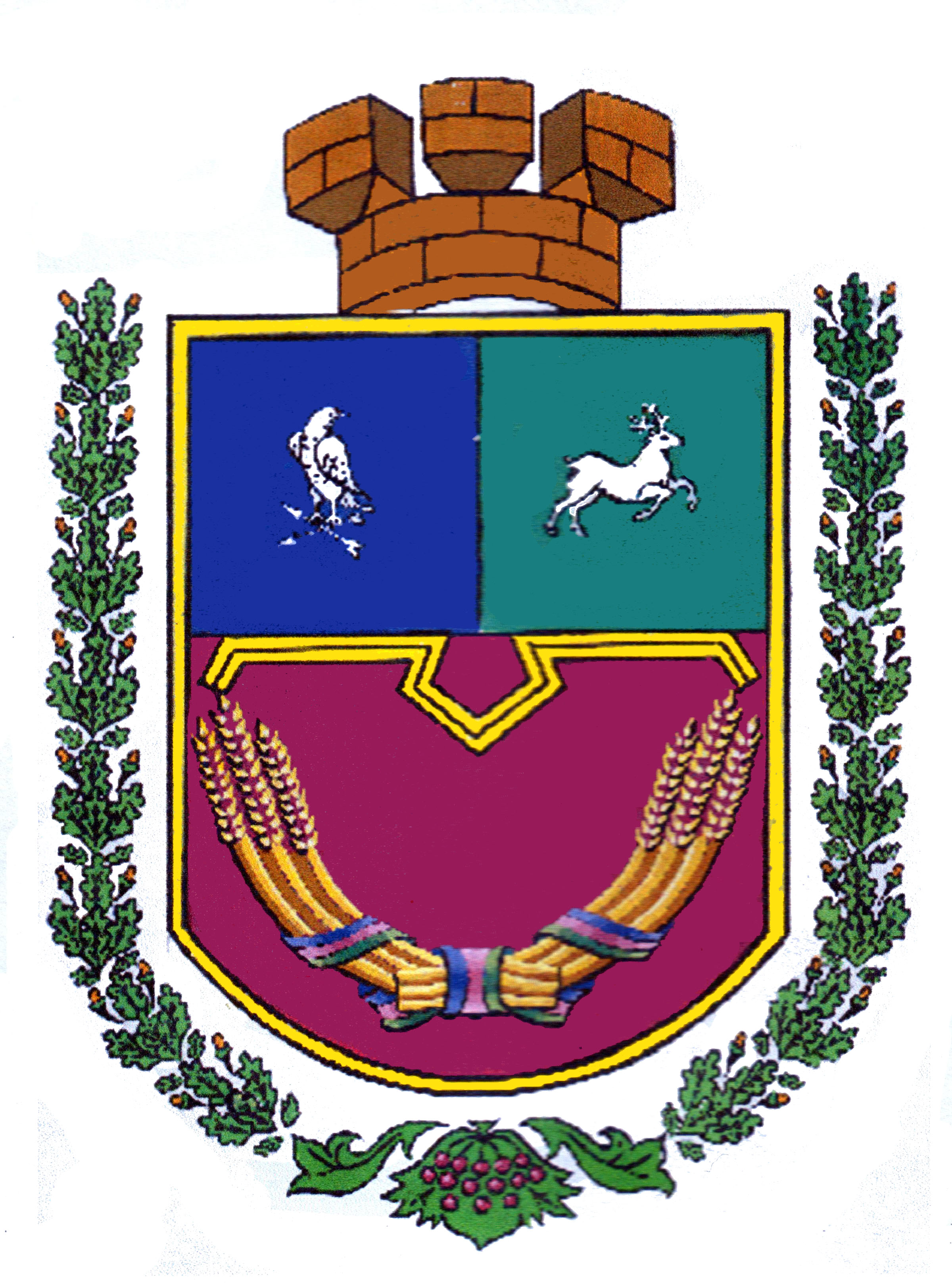 tsarychanska-raionna-rada-dnipropetrovskoi-oblasti